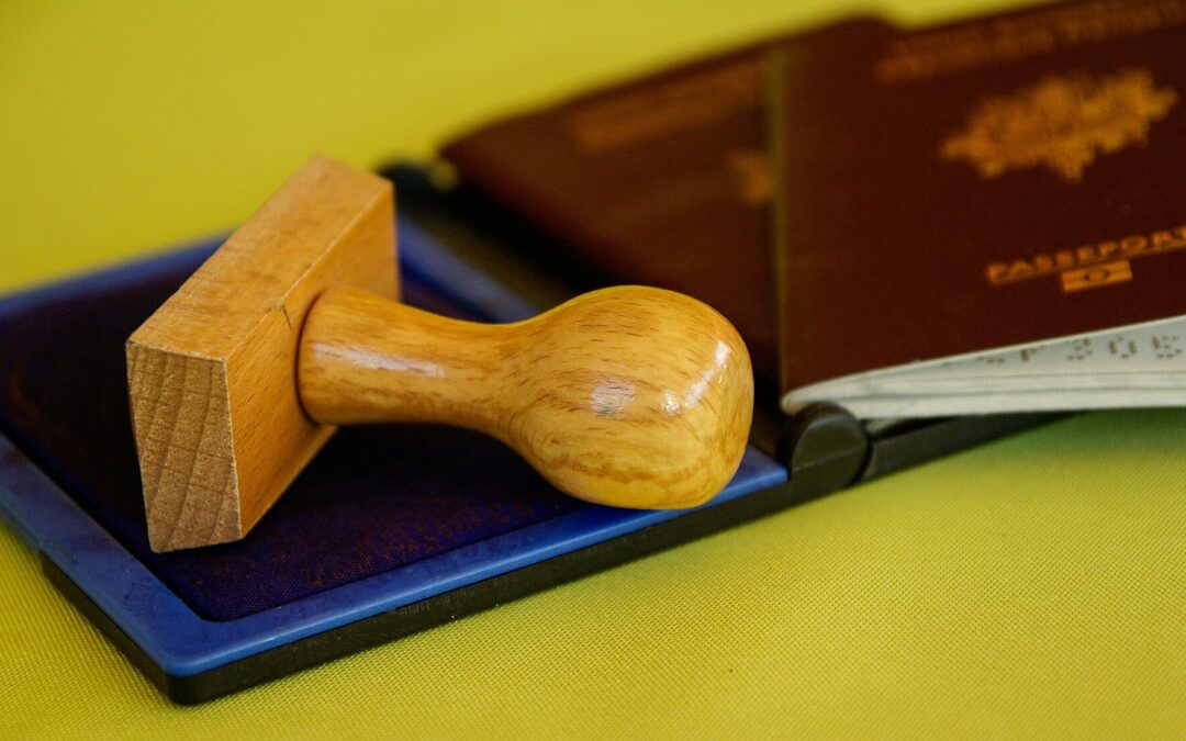 Massive visa backlog crippling South Africa